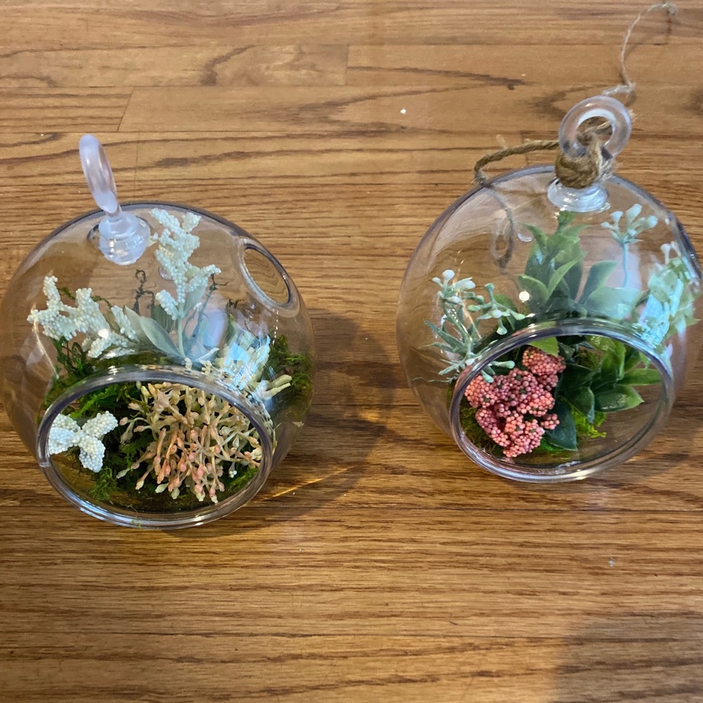 Globe Terrariums
